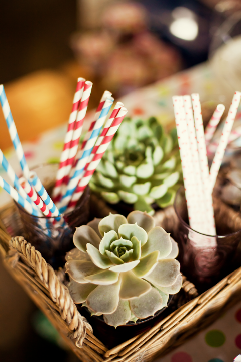 Succulent Decor Wedding