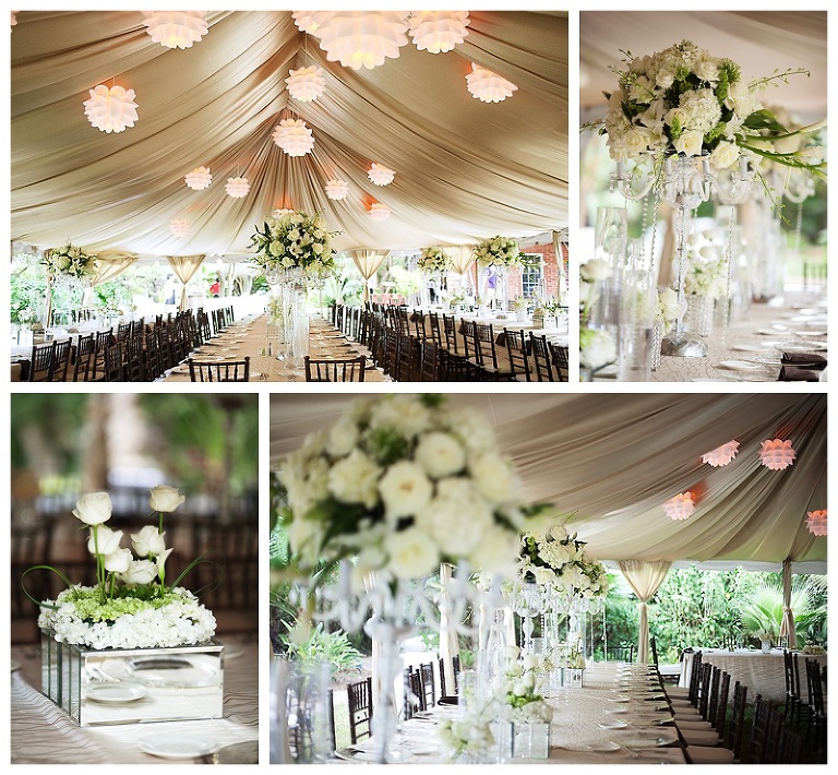 White Wedding, Anahi Navarro