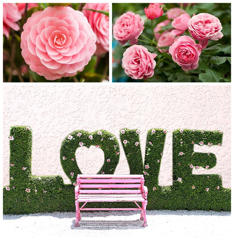 Pink Green Inspiration