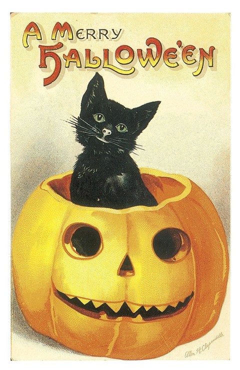 Merry Halloween