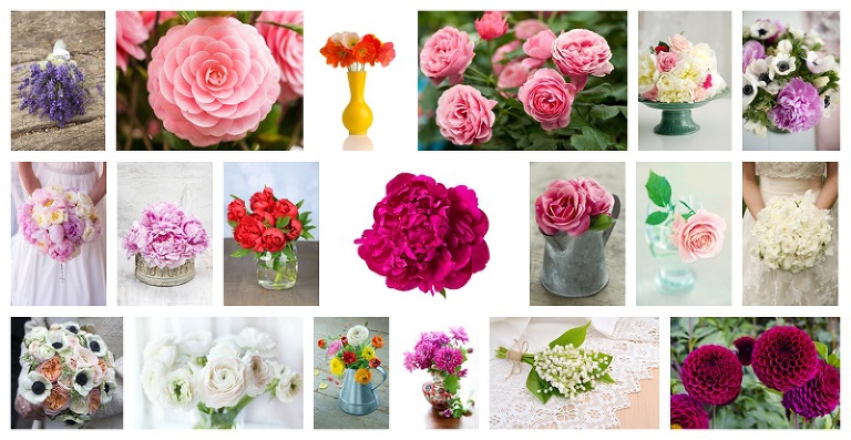 Flower Collage 