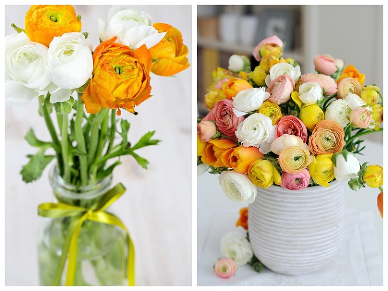 Spring Flowers