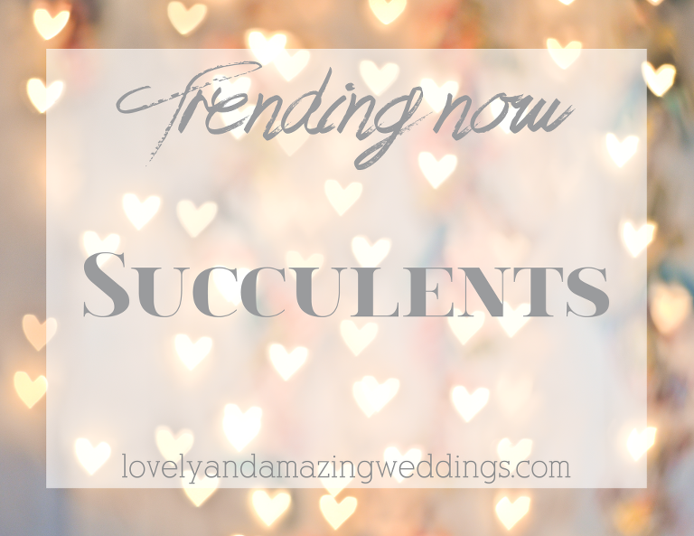 Trending-Succulents