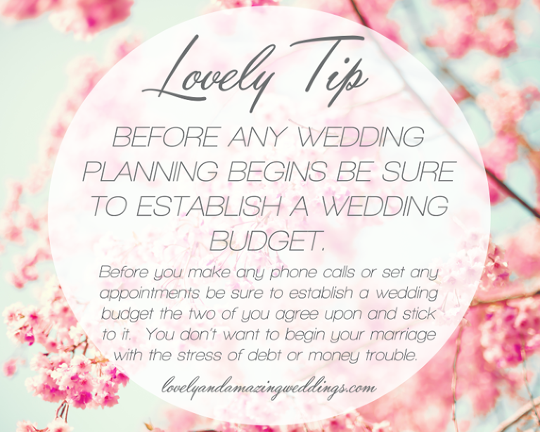 LovelyTip-No6