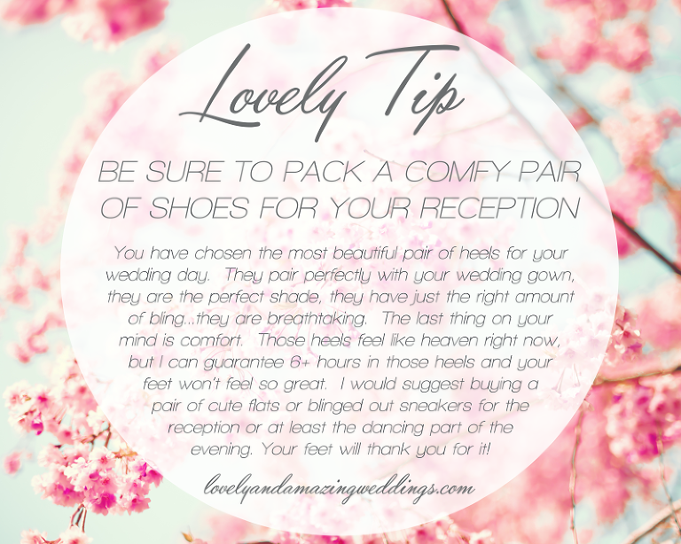 LovelyTip-No7