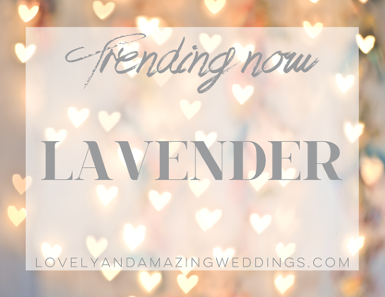 Trending-Lavender