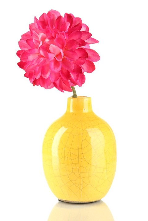 Bright Colors 