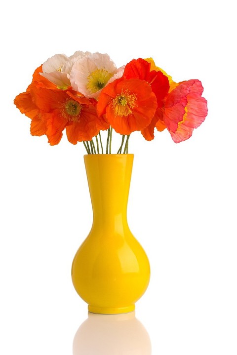 Bright Colors