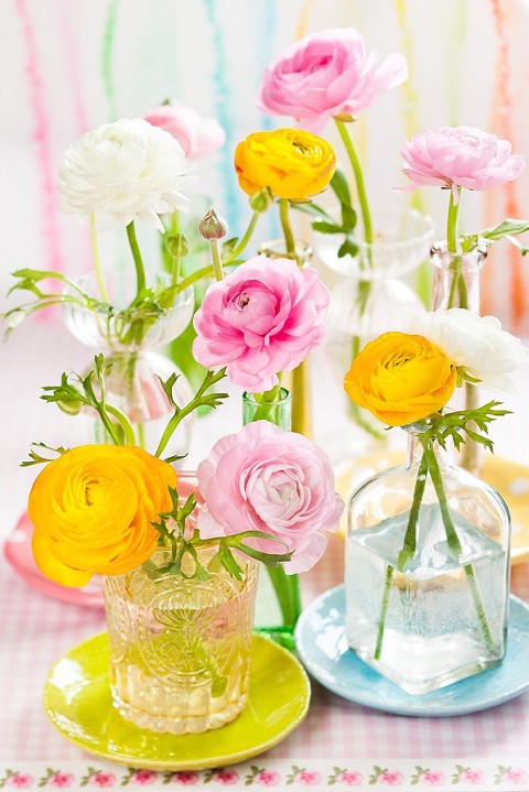 Bright Colors 