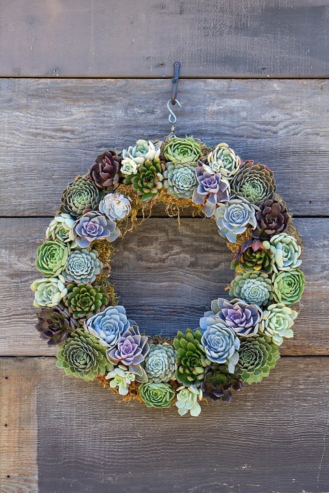 Succulent Wreath