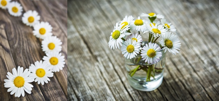 Fresh as a Daisy