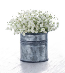unique & unusual flower vases