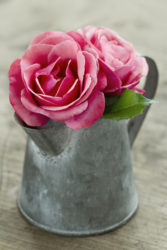 unique & unusual flower vases