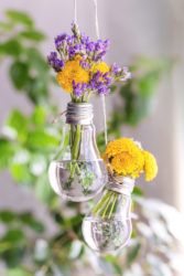 unique & unusual flower vases